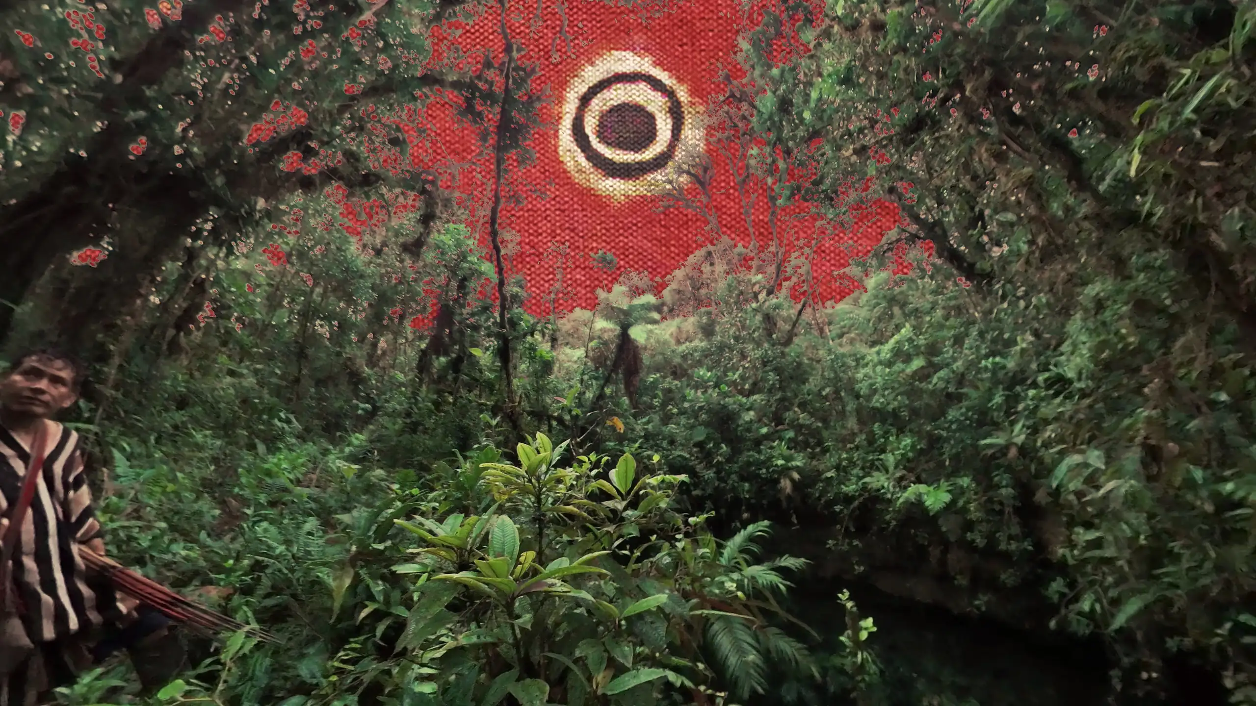 Walking and Singing Endangered Worlds filminden bir kare