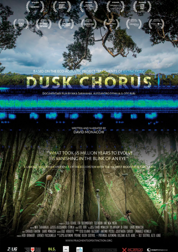 dusk chorus.jpg dusk chorus.jpg